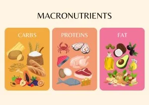 Macronutrients